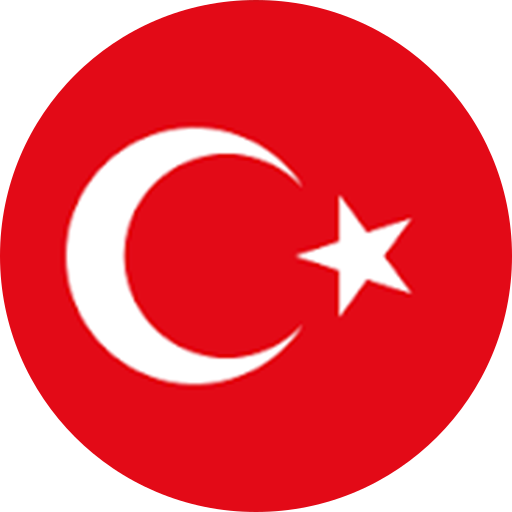 Türkçe